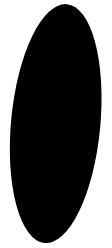 Ellipse 38